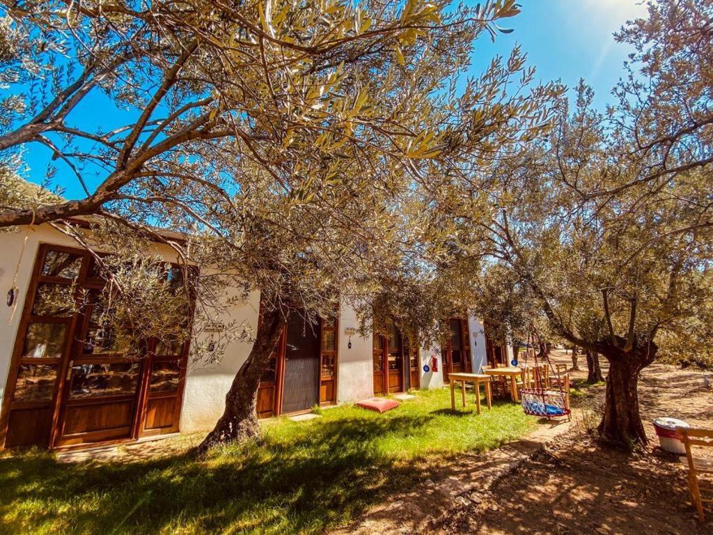 Yiva Kazdaglari Hotel Mehmetalani ภายนอก รูปภาพ